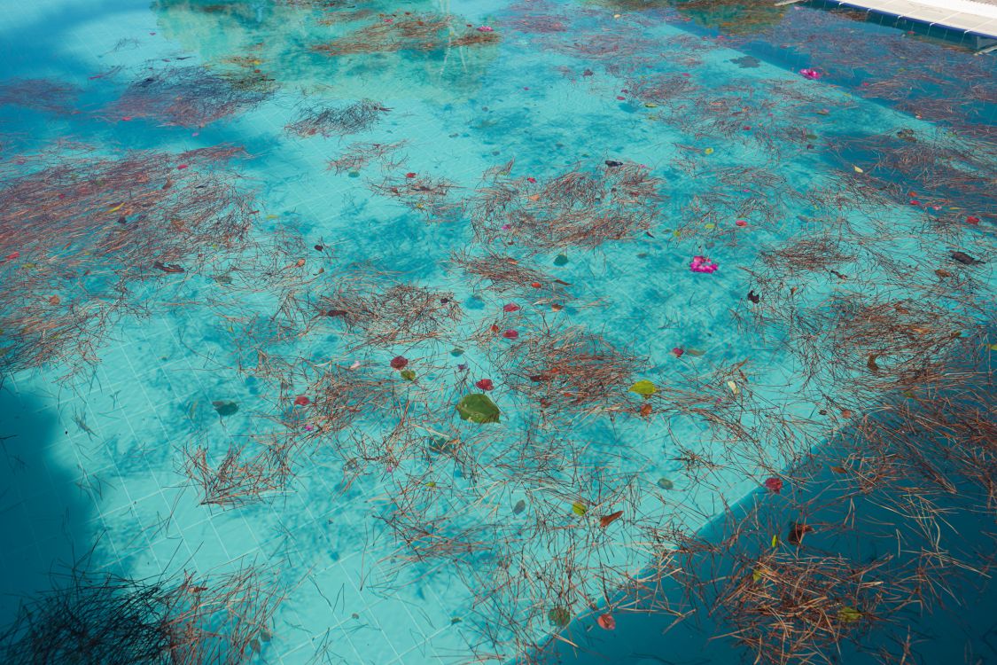 Professional pool maintenance in Turlock